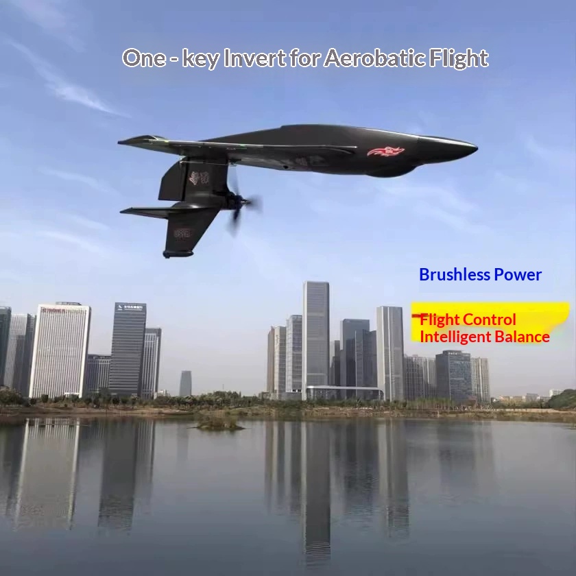 Rc Glider Foam Wing - 6CH RC Aircraft H650 Raptor Brushless