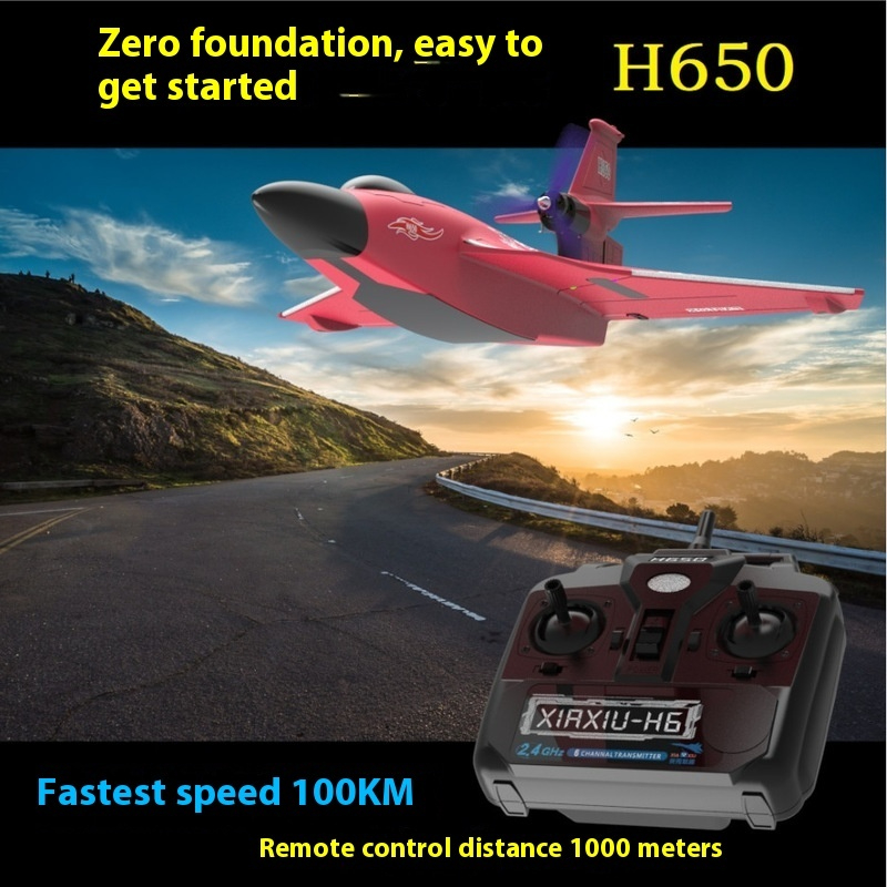H650 Large RC Plane Fixed Wing - огляд і ціна Rc Glider Foam Wing