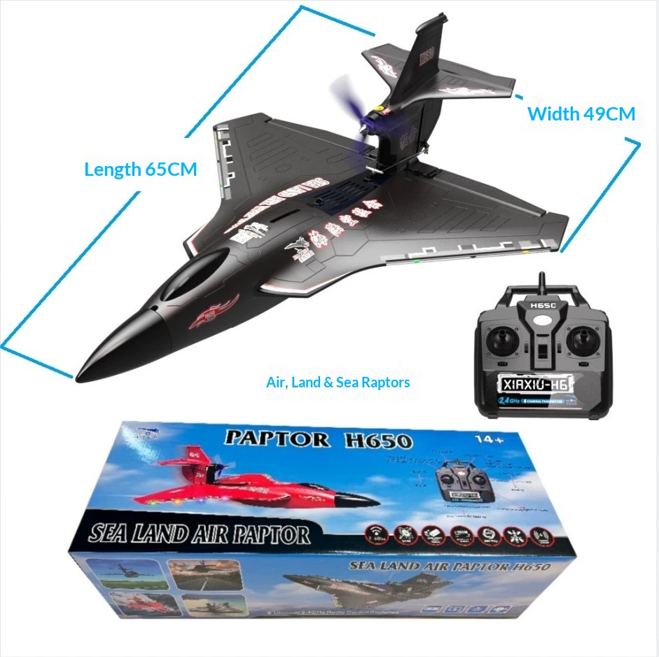 6CH RC Aircraft H650 Raptor Br - огляд і ціна Rc Glider Foam Wing